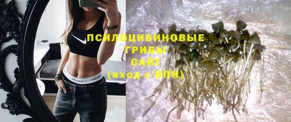 амф Гусев