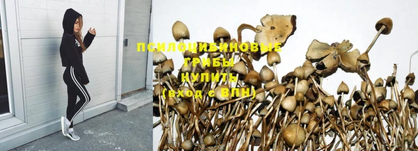 круглые Алексеевка