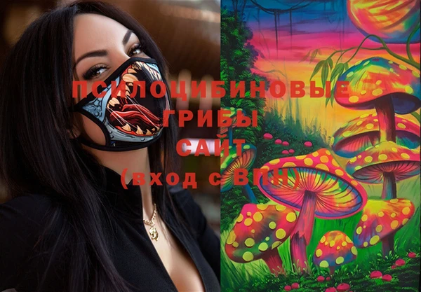 круглые Алексеевка